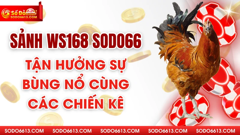 Sảnh WS168 Sodo66 - Tận Hưởng Sự Bùng Nổ Cùng Các Chiến Kê